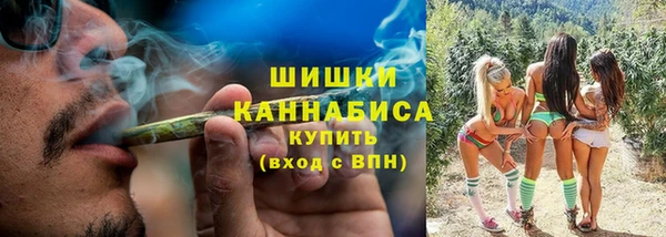 mdpv Каменногорск