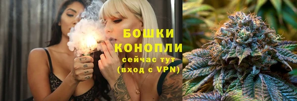mdpv Каменногорск