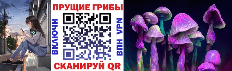 Псилоцибиновые грибы мухоморы  MEGA онион  Белгород  дарнет шоп 