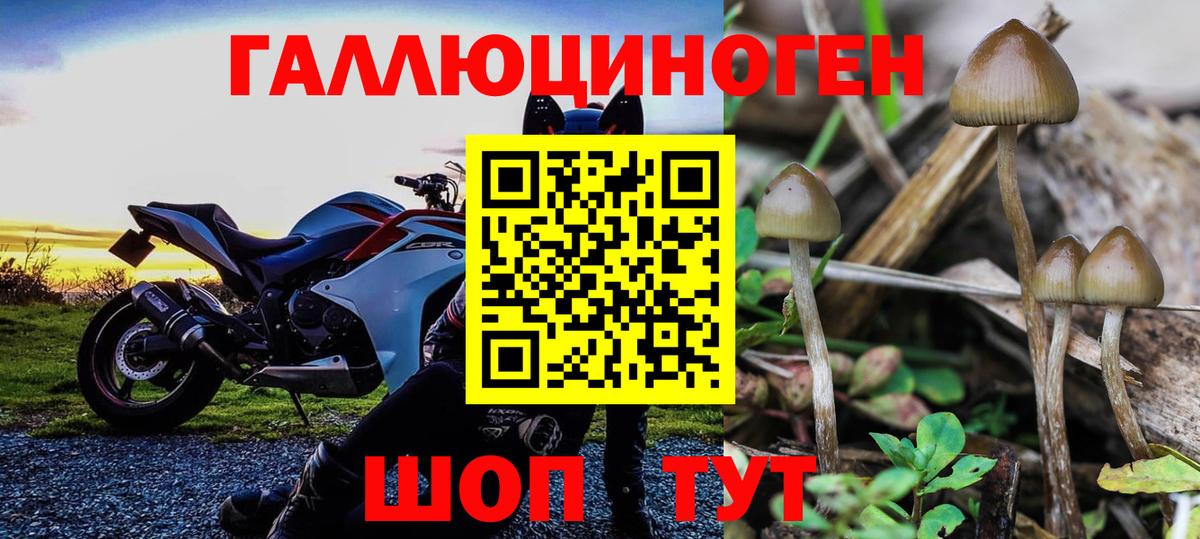 Галлюциногенные грибы мухоморы Белгород