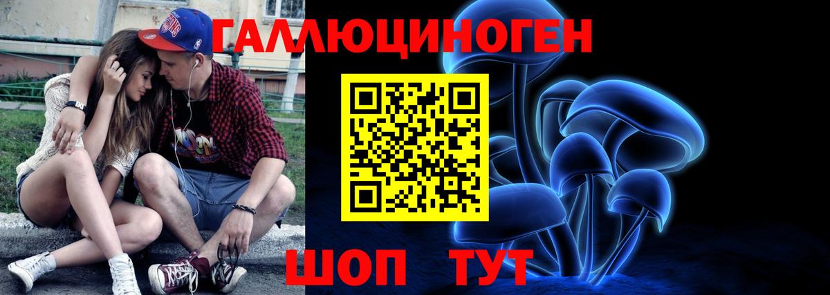 Галлюциногенные грибы Cubensis  купить закладку  Белгород  Псилоцибиновые грибы Psilocybe 