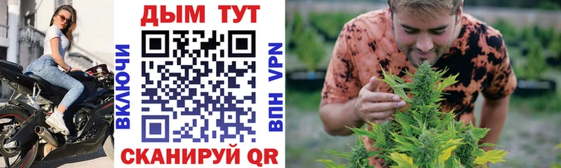 купить   Белгород  Марихуана VHQ 